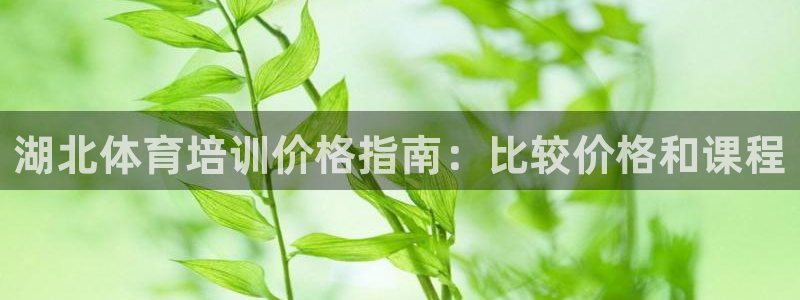 富联娱乐下载app：湖北体育培训价格指南：比较价格和